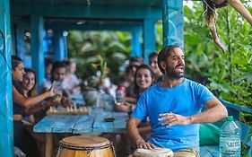 Lobo Hostel Bar